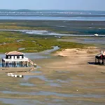 Moderne Vue Bassin Les Viviers Cap-ferret *