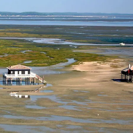 Moderne Vue Bassin Les Viviers Cap-ferret *