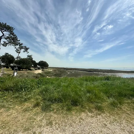 Moderne Vue Bassin Les Viviers Cap-ferret Lège-Cap-Ferret